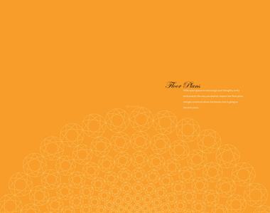 Unitech Exquisite Brochure 12