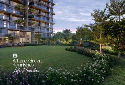 The Grasslands Brochure 19