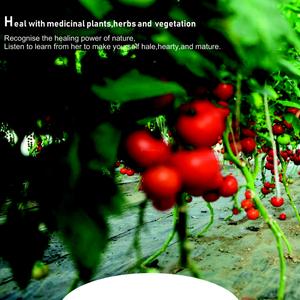 Golden Grass Brochure 10
