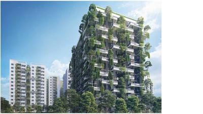 Mana Foresta Brochure 21