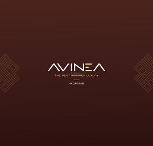 AVINEA Brochure 1