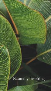 Conscient Parq Brochure 3