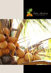 Palm Meadows Brochure 1