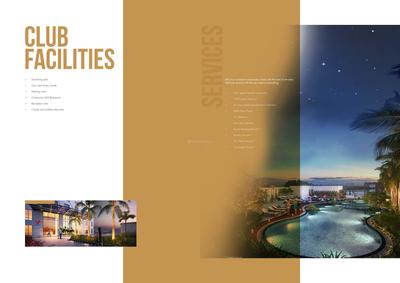 The V Brochure 17