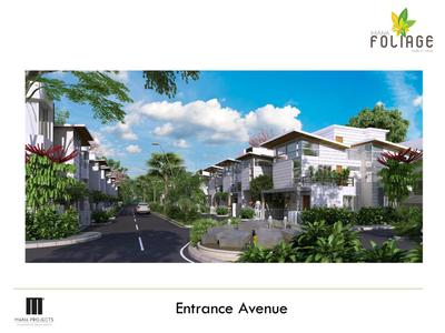 Mana Foliage Brochure 6