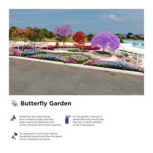 White County Brochure 40