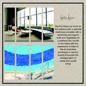 Golden Grass Brochure 15