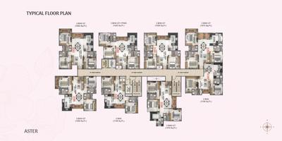 Coevolve Florenza Brochure 17