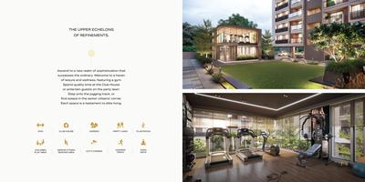 Happy Aura Brochure 15