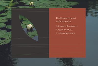 DTC Still Waters Brochure 11