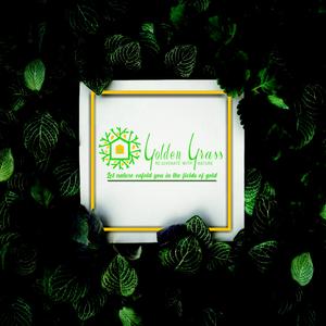 Golden Grass Brochure 1