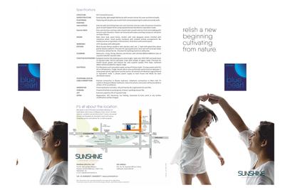 Sunshine Blue Pearl Brochure 1