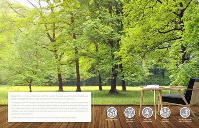 Reliaable Dollar Collony Phase 2B Brochure 9