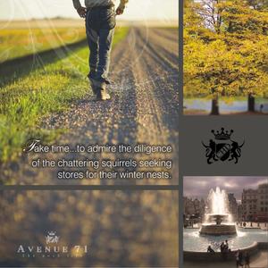 CHD Avenue 71 Brochure 7