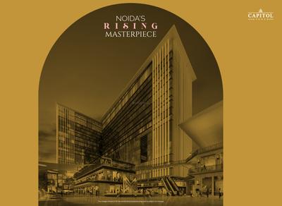 Maasters Capitol Avenue Brochure 10