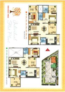 Sun Shine Orange Tree Brochure 12