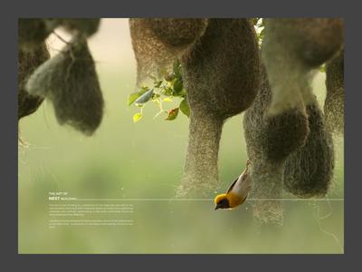 Trinetra Silvernest Brochure 2