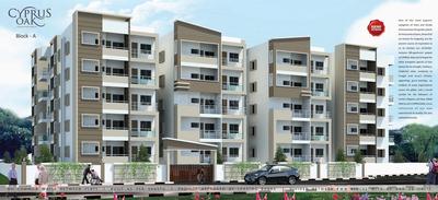 Brahma Cyprus Oak Brochure 2