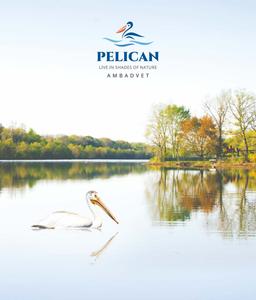 Image of 1040 Sq.ft 2 BHK Apartment / Flat for sale in Laukik Pelican Phase B, Pirangut, Pune for Rs. 3800000