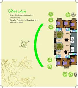 MSR Daffodils Brochure 6