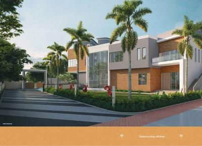 DTC Palm Grove Brochure 14