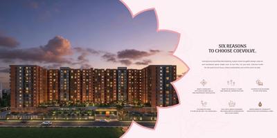 Coevolve Florenza Brochure 23