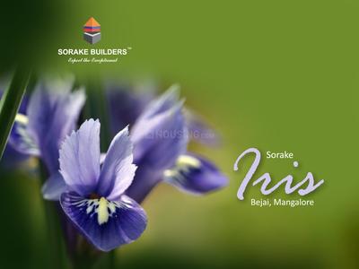 Sorake Iris Brochure 1