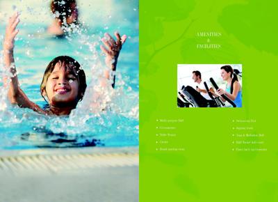 Alps Pleasanton Brochure 10