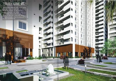 Namishree Trident Brochure 5