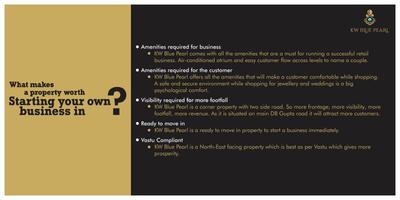 KW Blue Pearl Brochure 9