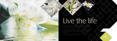 Image of 1640 Sq.ft 4 BHK Apartment / Flat for sale in Alliance White Lily, Wakad, Pune for Rs. 10785000