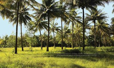 Value Willow Farm Brochure 8