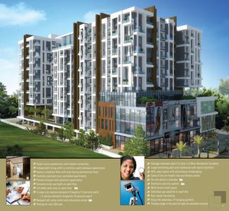 Expression Exotica Brochure 15