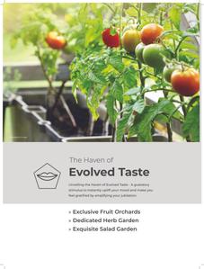 Empyrean Leela Phase I Brochure 28