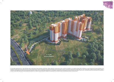 Brillio At Brigade Valencia Brochure 8