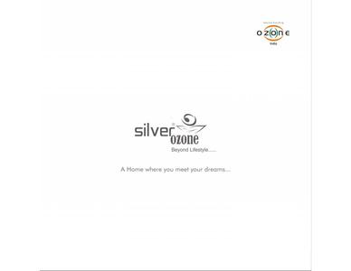 Ozone Silver Ozone Brochure 1
