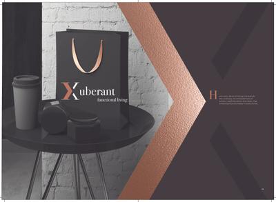 Elite X Brochure 34