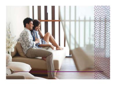 Vulcan Golden Crest Brochure 2