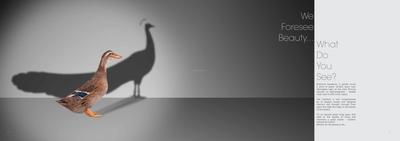 Profound Symphony Brochure 5