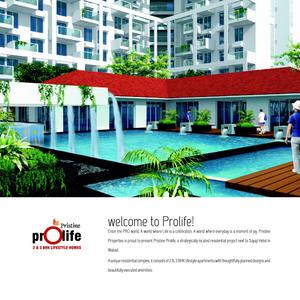 Pristine Prolife II Brochure 2