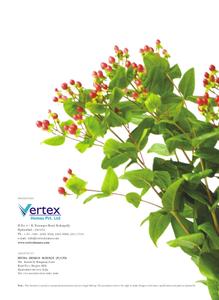 Vertex Lake View Brochure 13