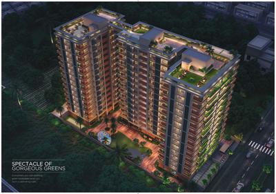 Strut Arcadia 77 Brochure 8