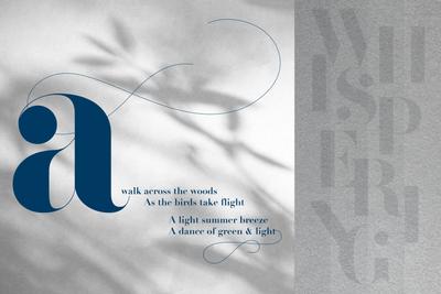 Shalimar Whispering Woods Brochure 3
