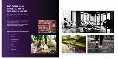 Ritz Phase II Brochure 5