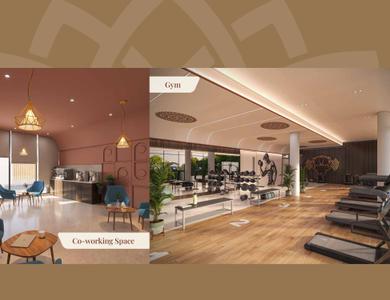 Axis Amarissa Brochure 17