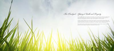 Image of 1350 Sq.ft Residential Plot / Land for sale in Altus Space Muirwoods, New Chandigarh, Chandigarh for Rs. 12000000