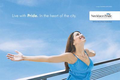 Sattva Necklace Pride Brochure 1