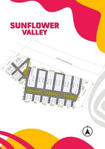 Apex Sunflower Valley Brochure 3
