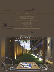 Addor 14 Crowns Brochure 4