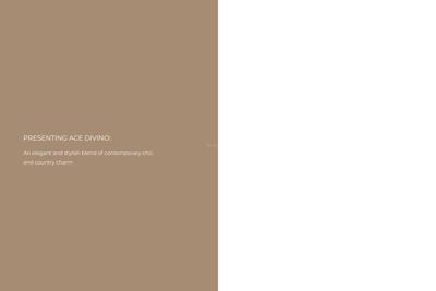 ACE Divino Brochure 10